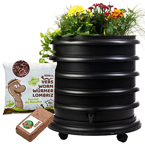 WORMbox | Lombricomposteur 3 Plateaux Noir + Jardinière + 500gr de vers de Compost + 1 Bloc Coco | 48 litres | Compostez Vos déchets organiques, Les vers de Terre/lombrics/lombricompost