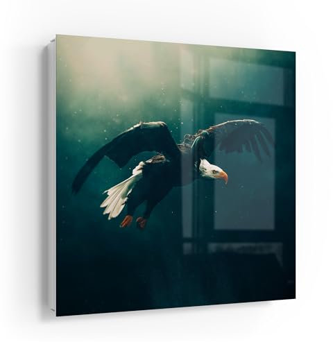 DEQOART Schlüsselkasten weiß | 30x30 cm | Motiv Tauchende Freiheit | Glas & Metall Schlüssel-Box | Schlüsselschrank mit 50 Haken + 2 Magnete | Moderne Design Box magnetisch & beschreibbar