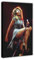 BNCVJFI Tina Turner Canvas Poster Wall Art Print Picture Paintings 08x12inch(20x30cm)