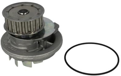 Hepu P398 Wasserpumpe