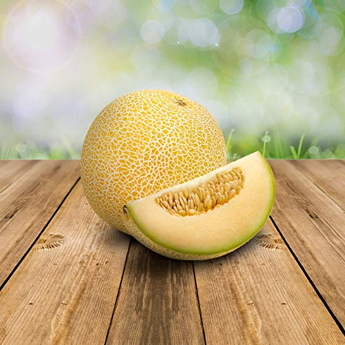 Melon Galia 5 x Samen - 100% Natursamen, Superfruchtig und Herrlich Erfrischend