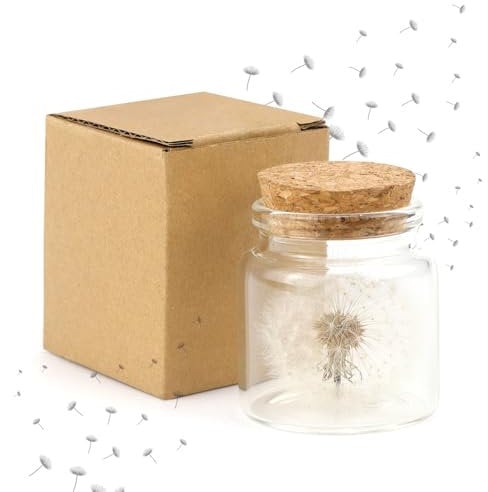 ZUZGO Wunscherfüller Pusteblume im Glas Echte Pusteblume Deko für Geschenke Geburtstag Hochzeit Frauen Wunscherfüller