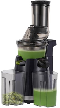 250W Slow Juicer Entsafter für Gemüse und Obst mit 2 Tassen, 800ML, Hohe Saftausbeute Entsafter, Leise & BPA-frei, Einfach zu Reinigen, Saftpresse für Herstellung von Gemüse und Fruchtsäften Geeignet