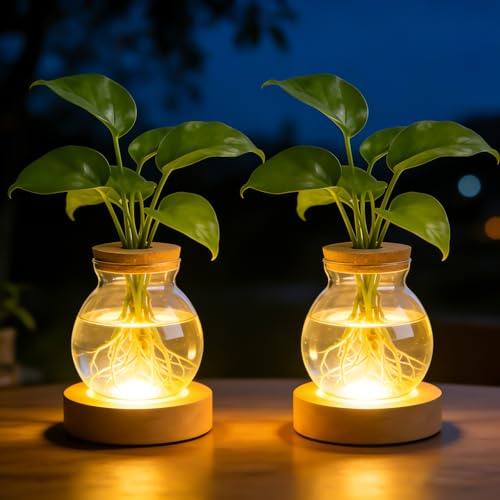2 Pezzi Vaso Illuminato in Vetro, Stazione di Coltivazione Idroponica per Piante, Vaso per Fiori Stazione di Propagazione, LED Luminoso con Base in Legno 3 Livelli Regolabile per Decorazione da Tavolo