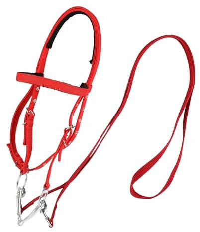 Zaumzeug zum Reiten – Rote Nieren, verstellbarer Pferdezaumzeug mit gefüttertem Snaffle-Kopf-Schneiderei | Premium Nylon-Zaumzeug und Reiterhof Set, bequeme Strumpfhose