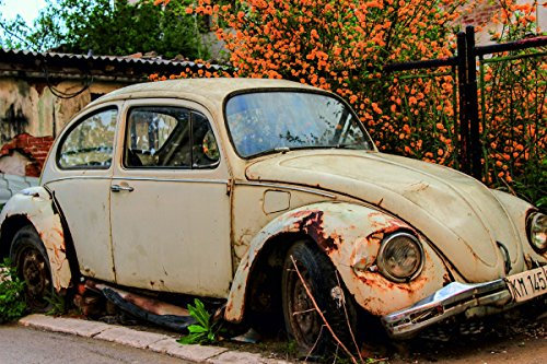Wandbild 1200 x 690mm VW KÄFER Fototapete Poster XL Tapete Oldtimer Klassiker Volkswagen WA66