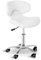 Physa Andria White Rollhocker mit Lehne Arbeitshocker mit Rollen höhenverstellbar Sitzhocker mit Rückenlehne (weiß, polierter Stahl, PVC-Bezug, 360° drehbare Rollen, Variable Sitzhöhe)