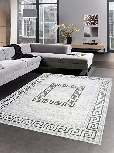 CARPETIA Teppich Wohnzimmerteppich mit Glitzer grau Größe 200x280 cm