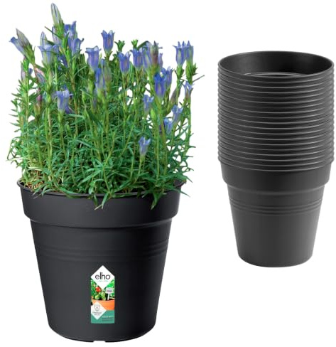 Elho Green Basics Growpot 15 | Juego de 20 Macetas - Living Black | ∅ 15 x 29 cm | 20 artículos incluidos | Plástico 100% reciclado