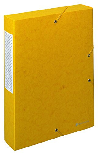 Exacompta 50919E 10er Pack Sammelbox Scotten aufgebaut mit Gummizug 60 mm breit aus extra starkem Colorspan-Karton mit Rückenschild für DIN A4 Archivbox Heftbox Sammelmappe gelb