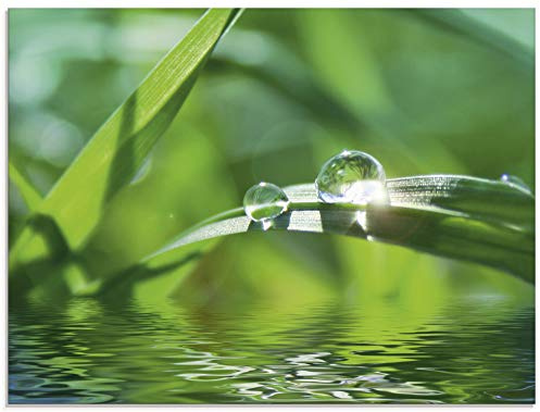 ARTland Wanddeko Glasbilder Wandbild Glas Bild einteilig 60x45 cm Querformat Natur See Pflanzen Blätter Gräser Teich Wassertropfen Sonne T5SE