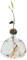 Avocado Starter Vase Klarglas Anzucht Hydrokultur Blumenvase Behälter Zuhause und Büro Desktop Dekor