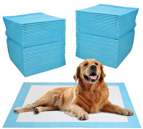 JANUIXCO 100 Stück PIPI Matten für Hunde 60 × 60 cm - Wickelunterlage Auslaufsicheres 5-Lagiges Design, Schnell Trocknender Oberfläche - Inkontinenzunterlage Einweg für Kranke und Inkontinente Tiere