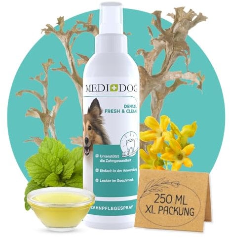 MEDIDOG Dental Fresh & Clean Dentalspray – XL Packung 250ml – Zahnpflege für Hunde – Zahnsteinvorbeugung – frischer Atem