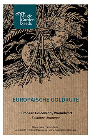 Europäische Goldrute (Solidago virgaurea) - ca. 500 Samen
