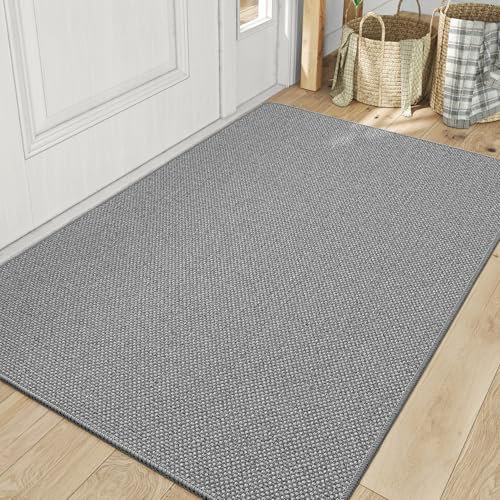 DEXI Fußmatte Innen 92 x 142cm, rutschfest Schmutzfangmatte, waschbar Fussmatte, Dünne Eingangstürmatte, Strapazierfähige Türmatte für Innenbereich, Hellgrau