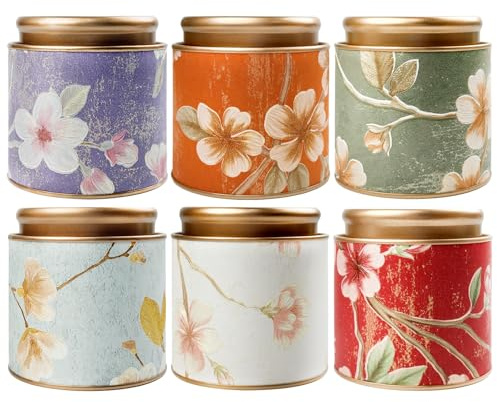 TooGet Tea Tin Canisters 6Pcs - Loose Leaf Tea Storage Small Empty Tins Vintage Round Airtight Storage Tin Containers with Lids, Tinplate for Teas, Coffee, Herbal, Spices & Dry Food (3.93 x 4.13 in)