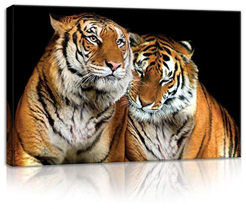 FORWALL Bilder Tiger Tiere Schwarz 60x40 cm - Leinwandbild Modern Canvas Groß XXL Schlafzimmer Wohnzimmer Wandbild Kunstdruck Wandbilder Wand Bild auf Leinwand Aufhängefertig