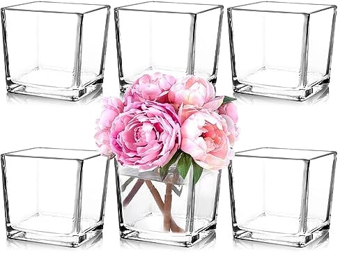 Comrzor Set of 6 Square Glass Vases 5 x5 x 5, Clear Flower Vases for Centerpieces, Candle Holder for Wedding Party Events, Home Décor
