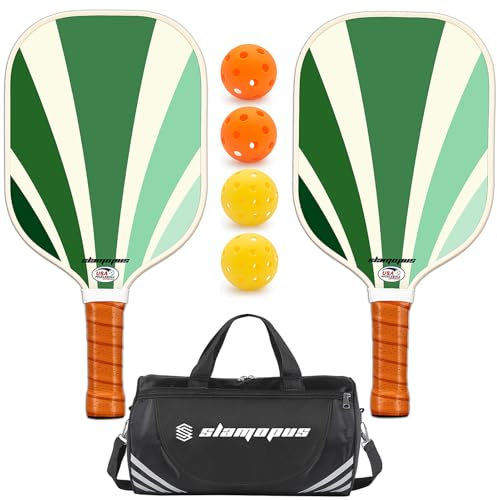 Raquettes de Pickleball | Set de 2 Raquettes Approuvées USAPA | Combinaison Graphite & Fibre de Verre Haut de Gamme | Conçu pour Débutants avec Prise Ergonomique | Comprend 4 Balles + Sac de Transport