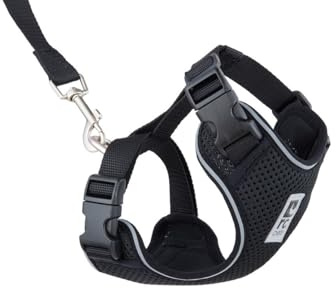 RC Pets Adventure Kitty Geschirr mit verstellbarem Airmesh-Gewebe, 1,8 m Leine und D-Ring, Katzengeschirr, Schwarz, Größe M