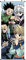CosplayStudio Großes Hunter x Hunter Rollbild | Kakemono aus Stoff | Poster 100x40cm | Motiv: Hunter