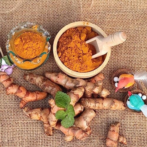 250 pcs Kurkuma Samen Zum Einpflanzen Kräuter Fensterbank, Garten Pflanzen Kurkuma Samen Bio (Curcuma longa) Exotische Pflanzen Samen, Seltene Samen Kräutergarten, Hochbeet Winterharte
