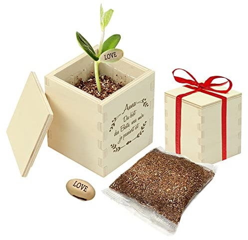 Casa Vivente Zauberbohne mit gravierter Holzbox, Du bist das Beste, Personalisiert mit Namen, Pflanze mit Botschaft Love, Inklusive Anzuchtset