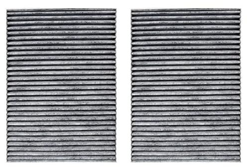 Rufutle Filtro Abitacolo per Nissan Qashqai J11 2013-2019, 2 Pezzi Filtro Aria Auto Filtro abitacolo 165464BA1A/272774BA0A