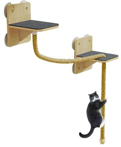 Étagère Murale pour Chat - Mur d'escalade d'intérieur - avec Tour d'escalade intégrée - Tour à gratter Naturelle avec marches et pour Chat - pour l'intérieur et l'extérieur - Fenêtre - Porte