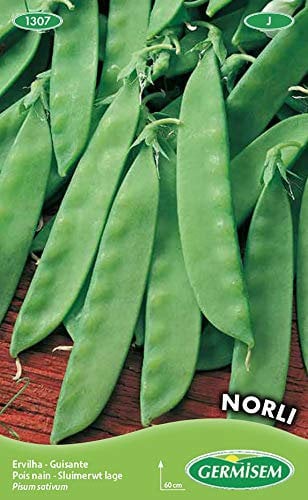 Germisem Norli Semi di Pisello Zucchero 100 g