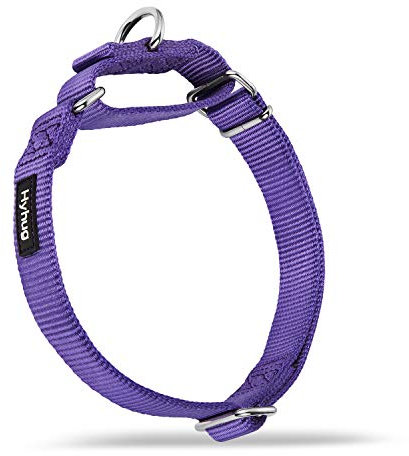 Hyhug Heavy Duty Nylon Anti - Escape Martingale Dog Collar for Large Medium Small Boy and Girl Dogs - Walking Training Daily Use. (Medium, Ultra Violet)