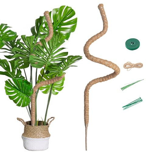 Mcbazel Tuteur Plante Grimpante Coco sur Piquet de Plante 160cm, Support Plante Tuteur de Coco Largeur de 7mm Pliable Poteau de Croissance de Plantes Grimpantes pour Plante Monstera/Jardin Domestique