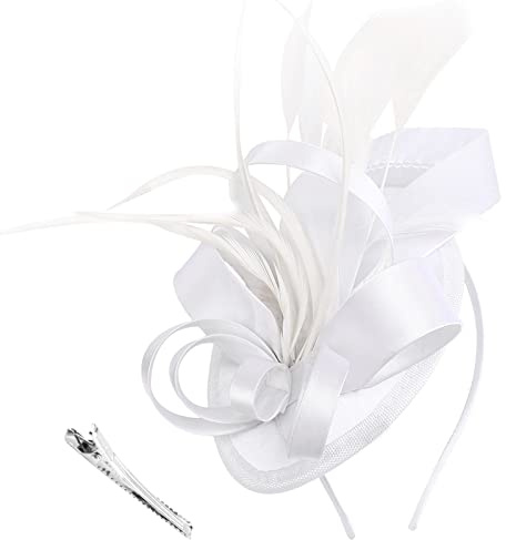 DRESHOW Fascinator Hüte für Damen Pillbox Hut mit Schleier Stirnband und Einer Gegabelten Clip Tea Party Kopfbedeckung