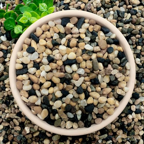NUPICK 6 lb Aquarium Gravel, 1/4 Ph-Natural Pea Gravel for Fish Tank