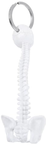 VILLCASE Porte-clés Facile à Décorer en Plastique Solide Miniature de Colonne Vertébrale Blanche Accessoire Homme Élégant et Pratique Paquet et Téléphones