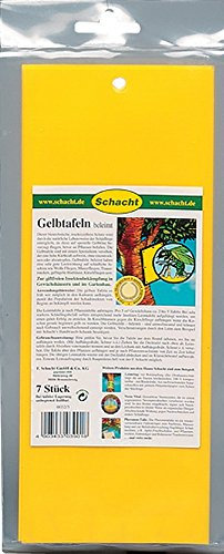 Schacht 1GELBBT10 Gelbtafeln beleimt