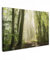 MuchoWow© Impression sur Toile Peinture 120x80 cm Tableau Mural Decoration Salon Reproductions de Tableaux Murale Moderne Forêt - Nature - Saison - Vert