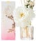 Cocorrína Blume Raumduft mit 8 Duftstäbchen 250ml- Pfingstrose Garten, Natürlich, Langanhaltend, Reed Diffuser für Haus Schlafzimmer Büro Badezimmer Regal Dekor (Master-Kollektion