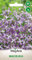 WegAna Evening Levkoje 1g Semi Levkoje profumato di notte - Piante basse Pianta da bordura per il giardino di casa Pianta profumata Piante da giardino Piante da balcone Pascolo per le api Fiori Semi