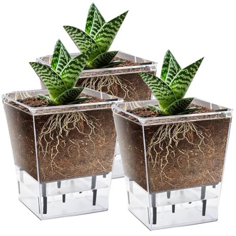 Giilayky Ensemble de Pots à Arrosage Automatique, Paquet 3 Pots à Arrosage Automatique de 5 Pouces pour Plantes D'Intérieur, Pot de Fleurs Transparent avec Profondeur pour Plante Araignée