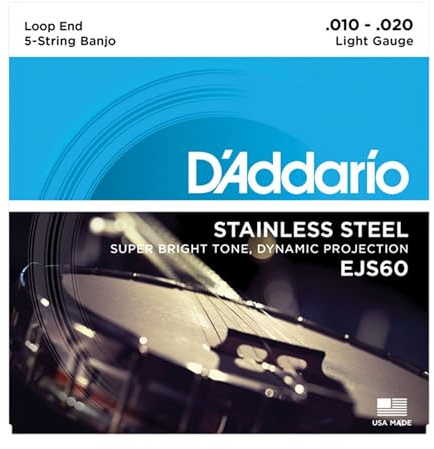 D'Addario Banjo Saiten EJS60 10-20 5-String Stainless Steel Loop End - Saiten
