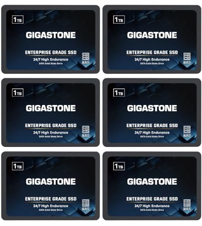 Gigastone SSD 1To NAS SSD Disque (Lot de 6) 24 h/24, 7 j/7 Durable TLC Endurance élevée Raid Synchro sécurisée des données Cache de Stockage en réseau 2,5 Pouces SATA Disque Dur ssd Interne