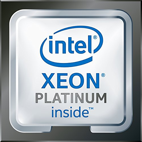 Intel BX806738176 Processeur Xeon Platinum 8176 165 W Multicolore (certifié reconditionné)