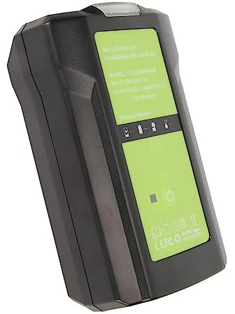 40V Battery Charger for Greenworks 29472 29482 29462 29252, Lithium-Ion Battery Charger with Diammable LED Light, USB and Type C Port