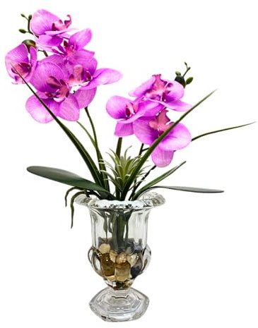 Svndlyn Artificial Purple Orchid Flowers in Glass Vase Phalaenopsis Flowers Potting and Fake Fleshiness Ornament for Home Bathroom Office Table Centerpiece Room Decorations