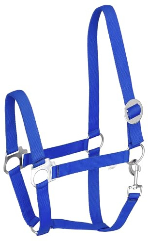 Start Economic Halfter für Pferde – Verstellbares Nylon-Stallhalfter mit Karabiner – Robust & Komfortabel – Weiches, schmutzabweisendes Material (Königsblau, Full (Warmblut))