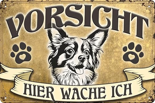30 x 20 cm wetterfestes Hunde Blechschild, Warnhinweis, Torschild, Farbe Gold, Vorsicht - Hier Wache ich! (Papillon Chihuahua)