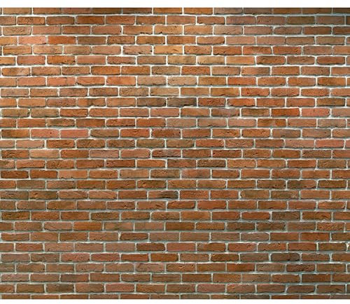 murando - Fototapete Ziegelmauer 350x256 cm - Foto Tapete Schlafzimmer Wohnzimmer Moderne Vliestapete XXL Wandtapete Motivtapeten Bildtapete 3d Effekt Wand Dekoration - Ziegelwand f-A-0564-a-a