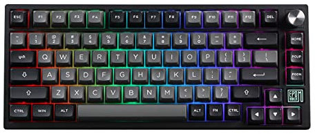 EPOMAKER TH80 SE Mechanische Tastatur Wireless/Bluetooth, Gasket,NKRO, Hot Swappable,RGB, für Gaming/E-Sport/PC/Mac (schwarz, Epomaker Budgerigar Switch)